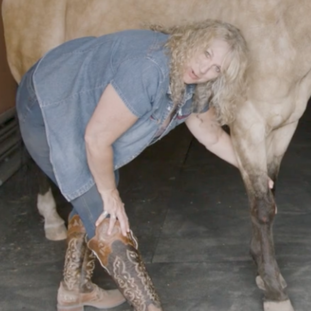 Fundamentals of Equine Acupressure - Level 1