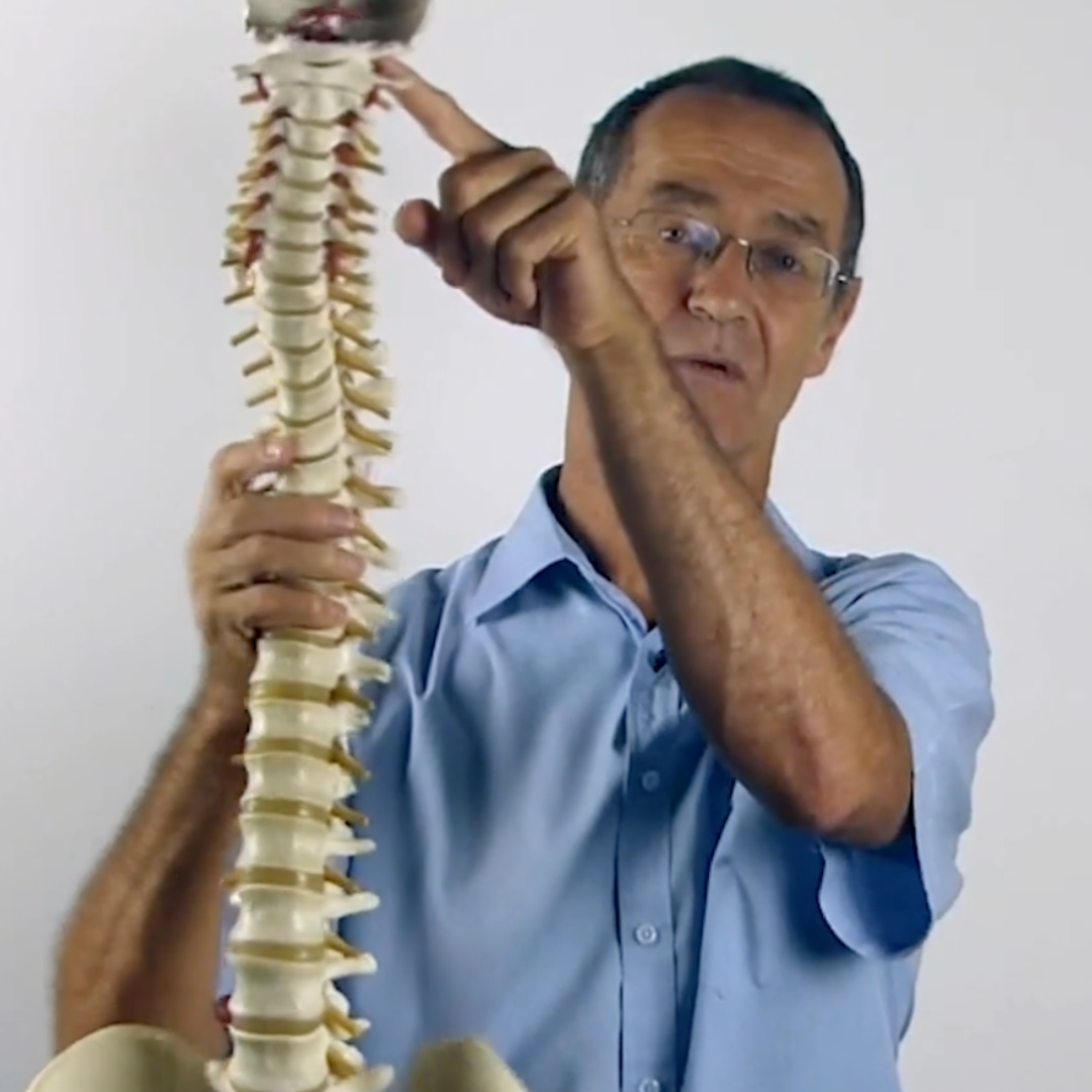 Understanding and Evaluating Posture (7 hrs)