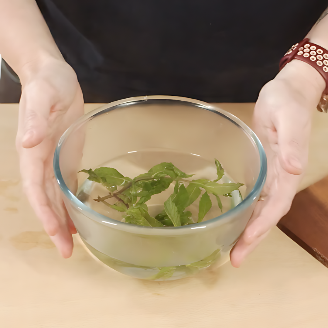 Foundation in Herbal Medicine | NAT Certification Course (5 hrs)