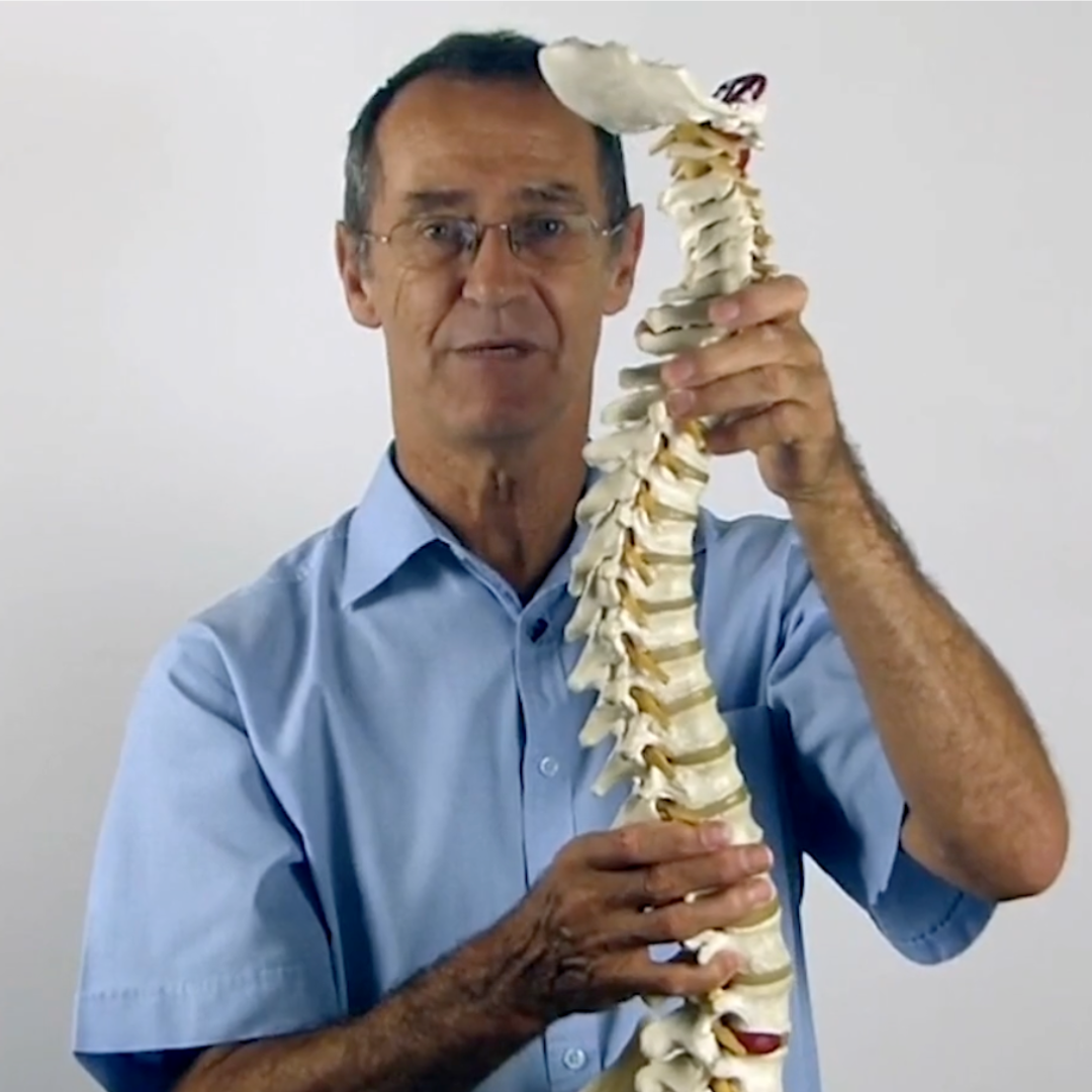 Understanding and Evaluating Posture (7 hrs)