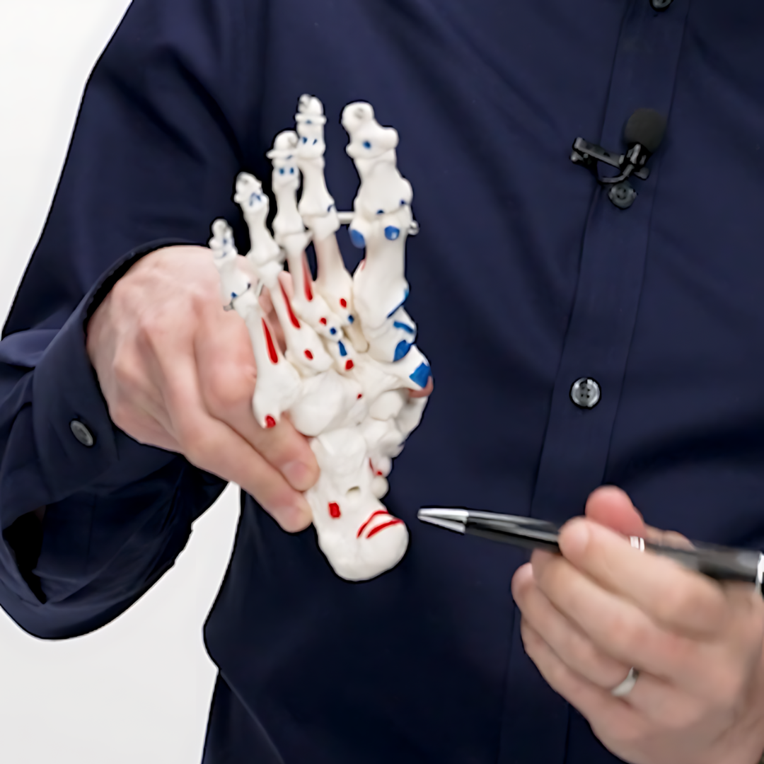 Foundation in Podiatry for Manual Therapists and Rehabilitation Professionals (11 hrs)