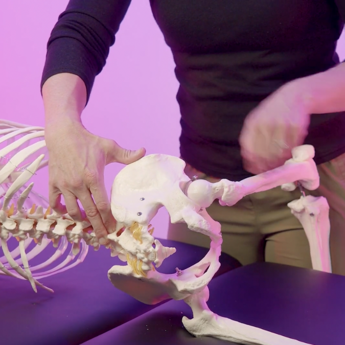 Light Joint Mobilization Techniques (4 hrs)