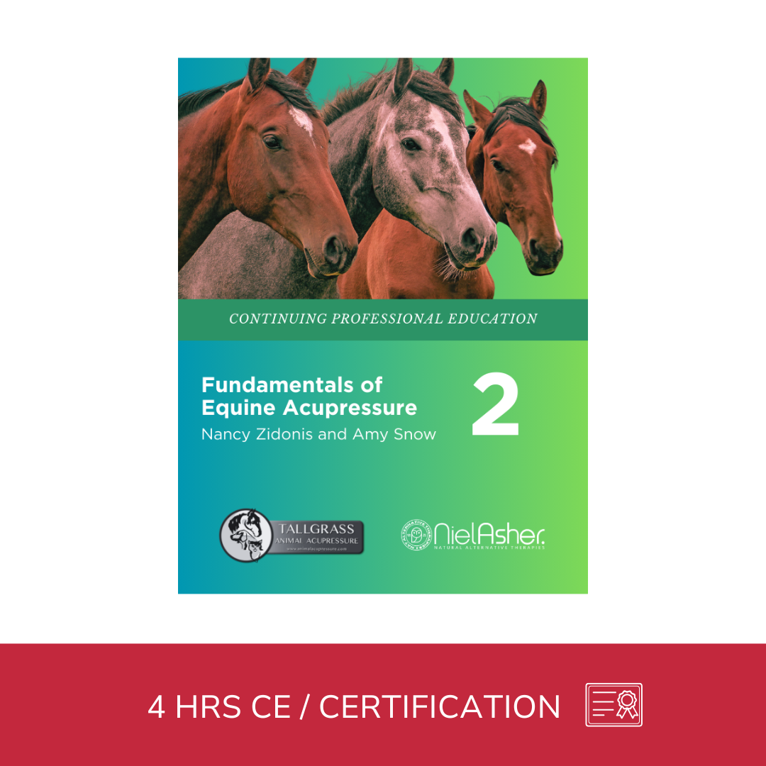 Fundamentals of Equine Acupressure - Level 2