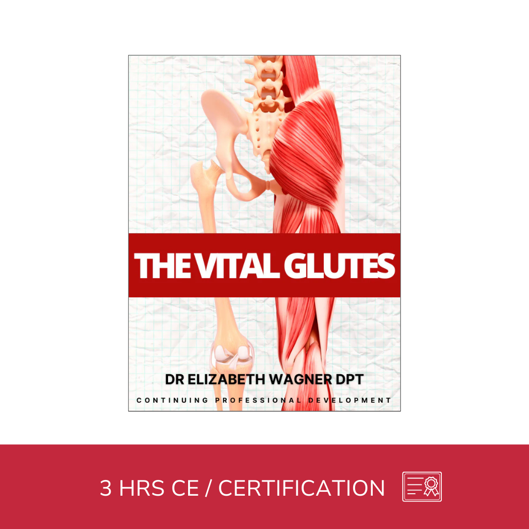 Understanding the Vital Glutes (3 hrs)