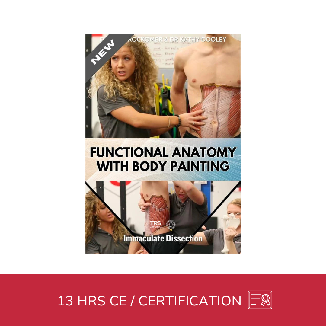Functional Anatomy of the Core - with Body Painting (13 hrs)