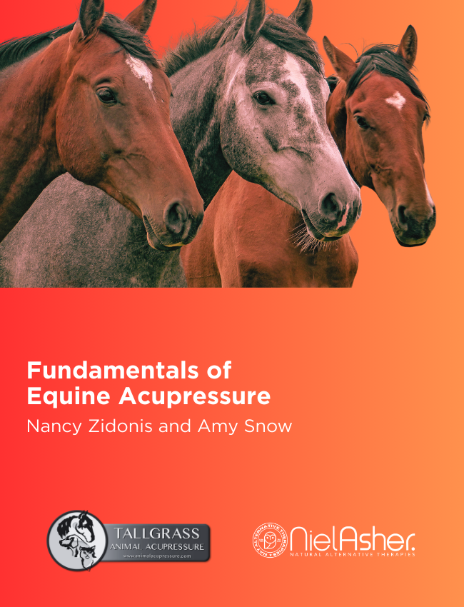 Fundamentals of Equine Acupressure - Level 1