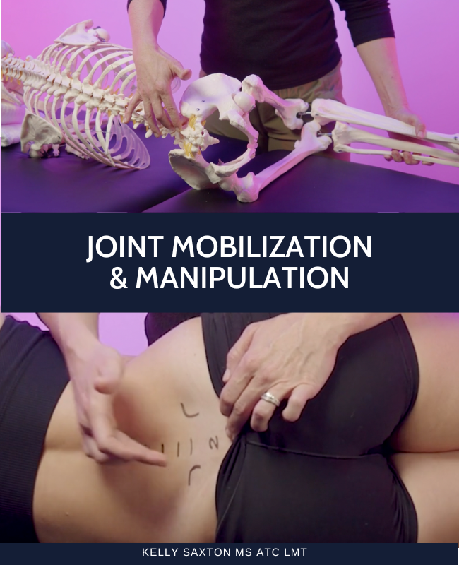 Joint by Joint Mobilization (4 hrs)