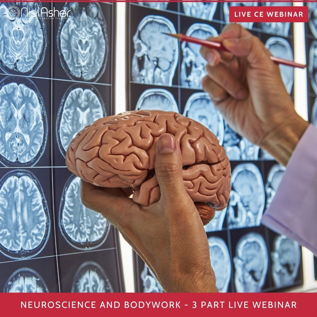 Beyond Muscles: Pain, Posture, and Bodywork through the Lens of Neuroscience