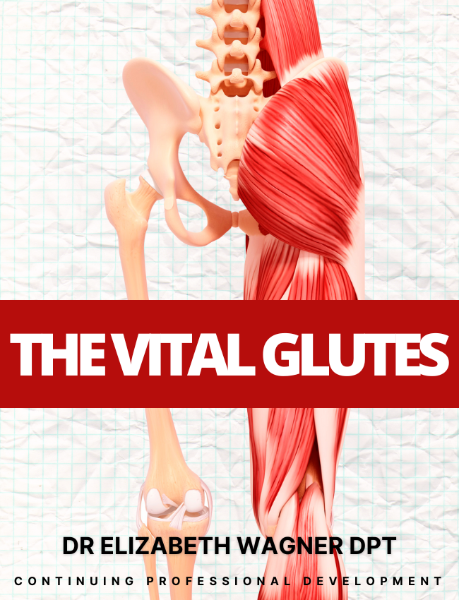 The Gluteal Muscles Online Course
