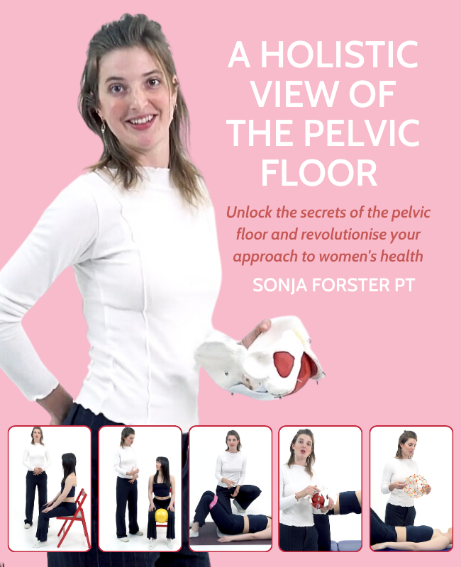 Functional Anatomy of the Pelvis and Sacroiliac Joint (6 hrs)