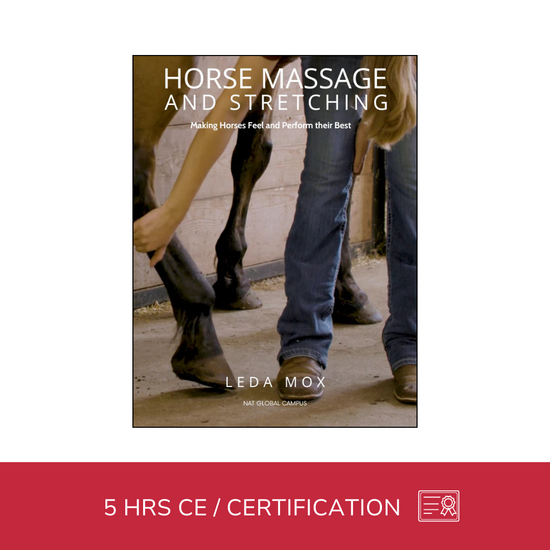 Equine Massage - Horse Massage and Stretching (5 hrs)