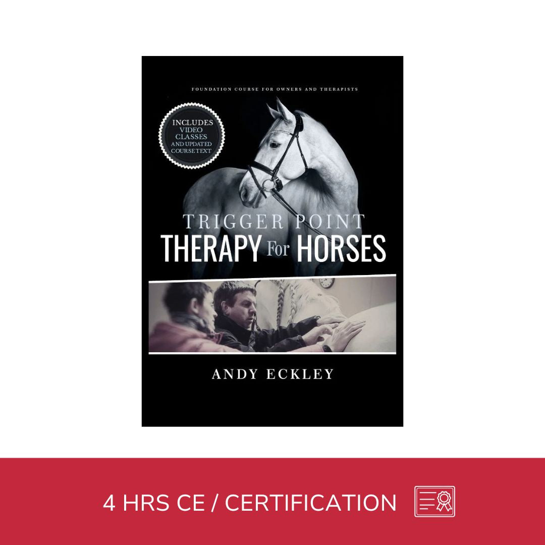 Trigger Point Therapy for Horses - NAT Certification Course (4 hrs)
