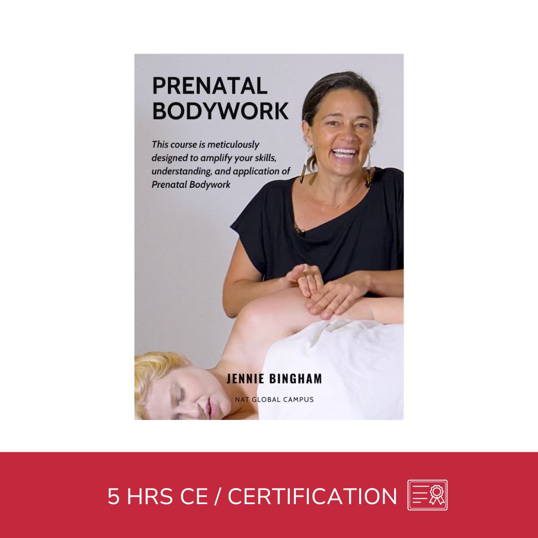 Prenatal Bodywork Certification Course (4 hrs)
