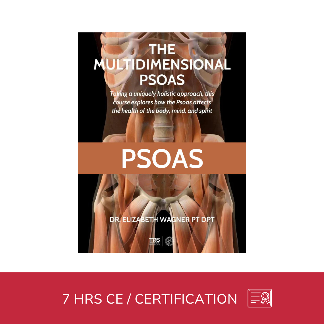 The Vital Psoas (7 hrs)