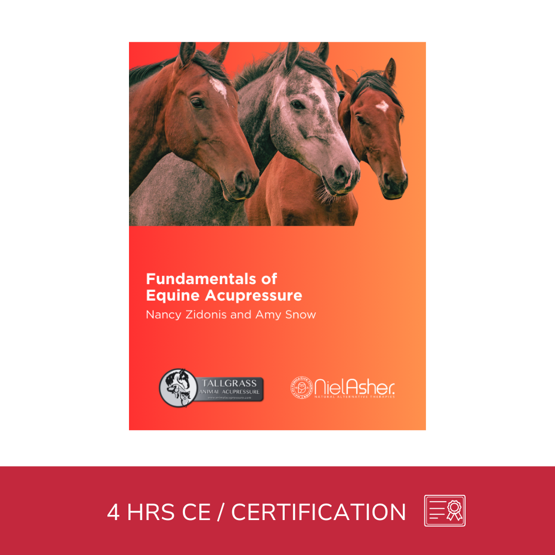 Fundamentals of Equine Acupressure - Level 1