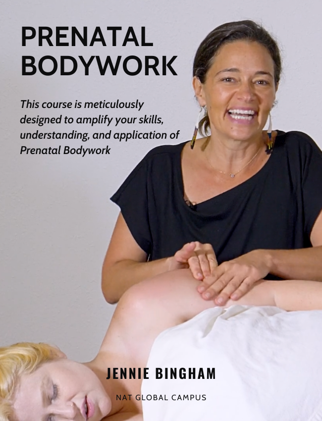 Prenatal Bodywork Certification Course (4 hrs)