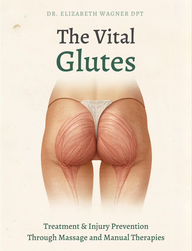 Understanding the Vital Glutes (3 hrs)