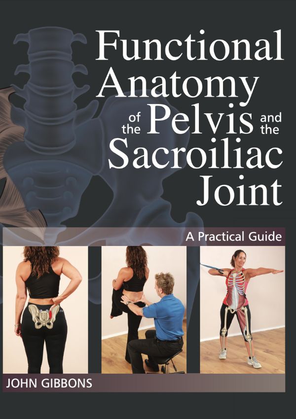 Functional Anatomy of the Pelvis and the Sacroiliac Joint