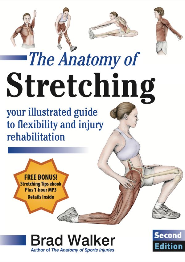 The Anatomy of Stretching