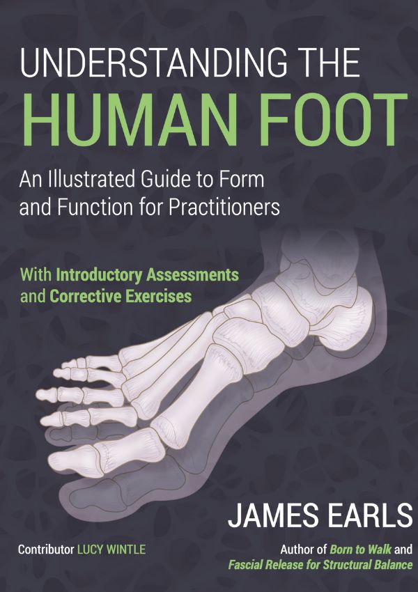 Understanding the Human Foot