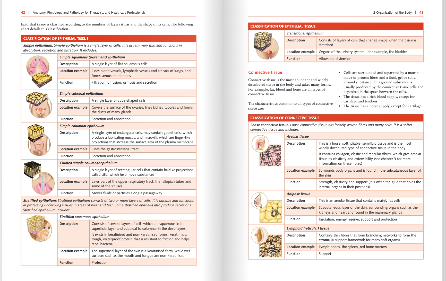 Anatomy, Physiology and Pathology