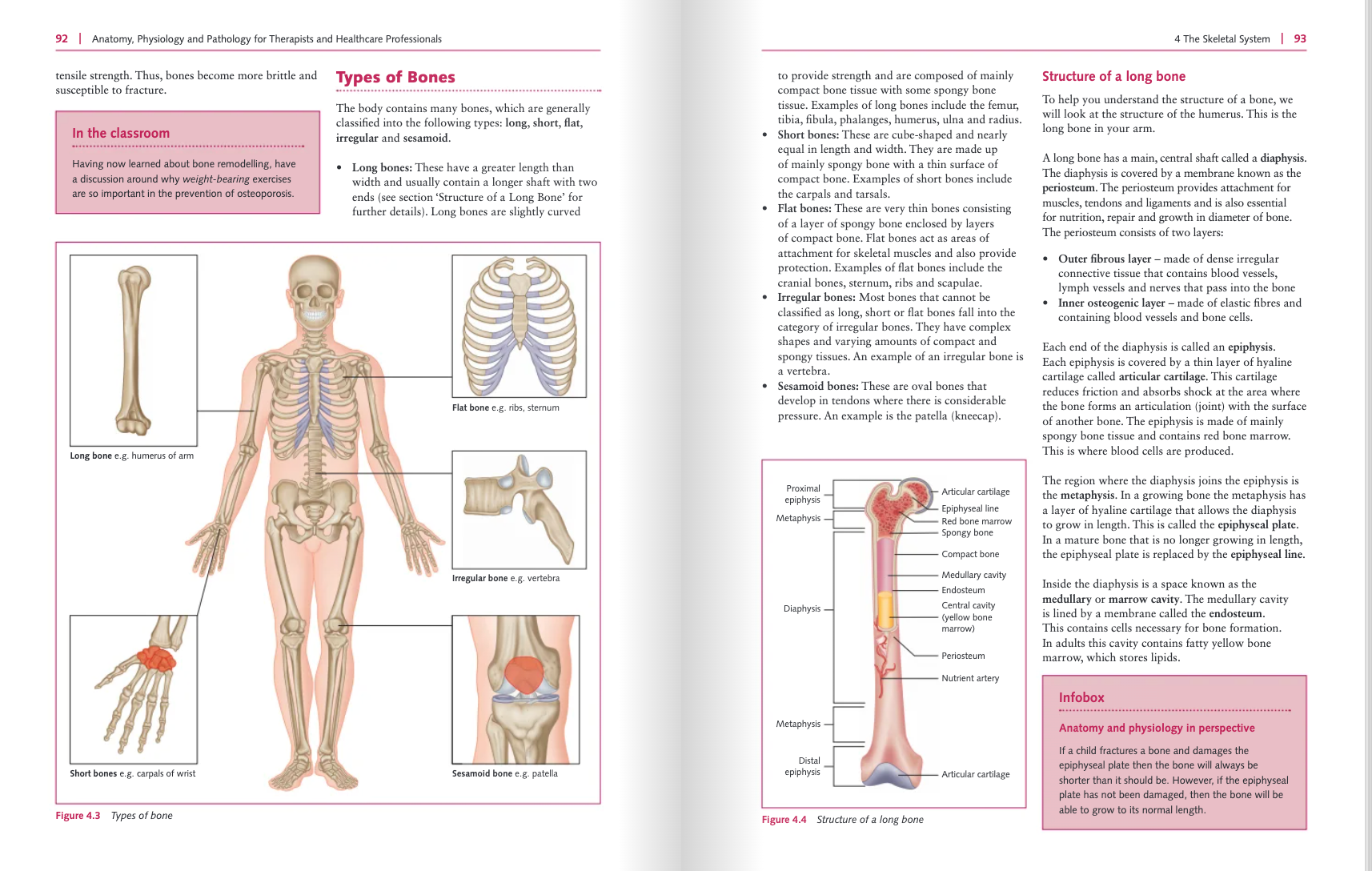 Anatomy, Physiology and Pathology