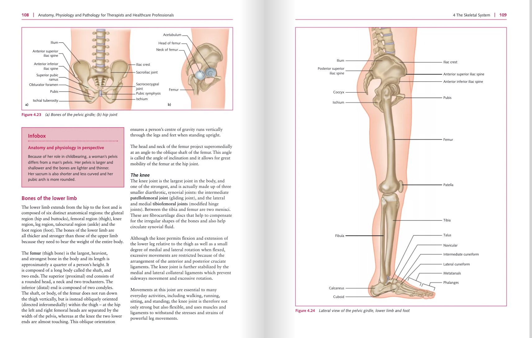 Anatomy, Physiology and Pathology