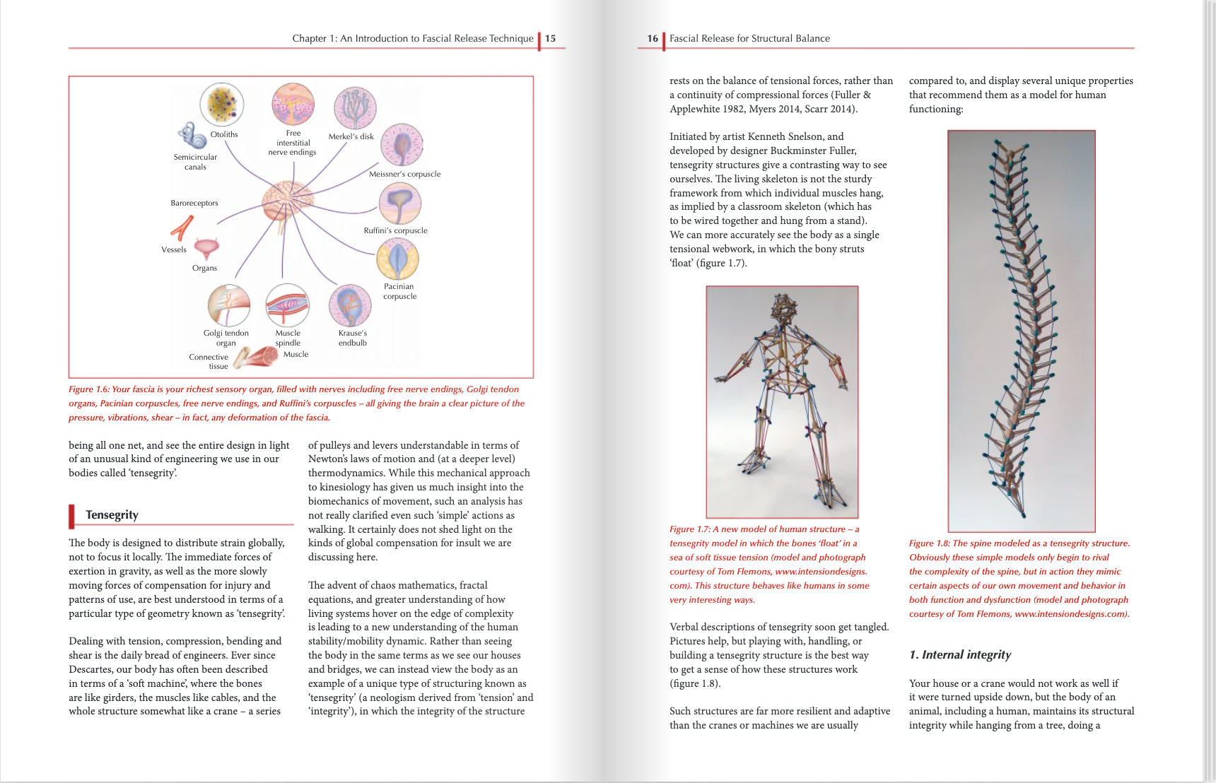 Fascial Release for Structural Balance