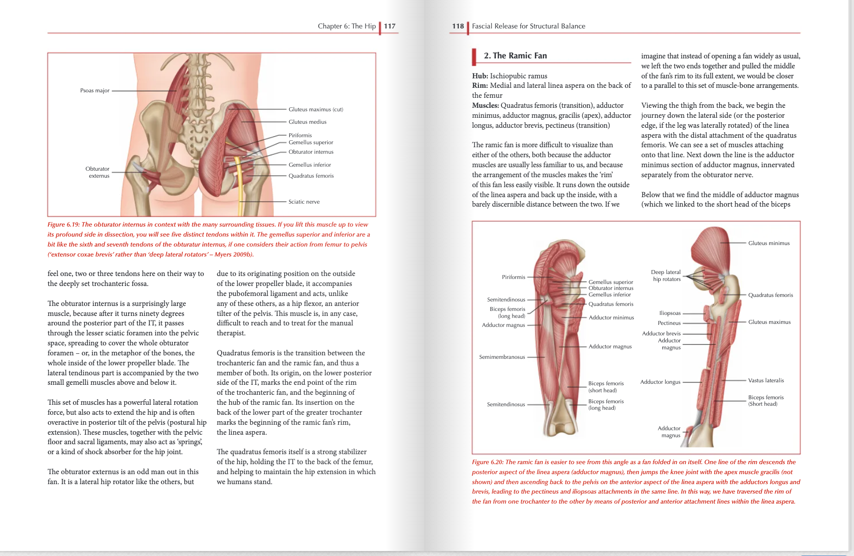 Fascial Release for Structural Balance