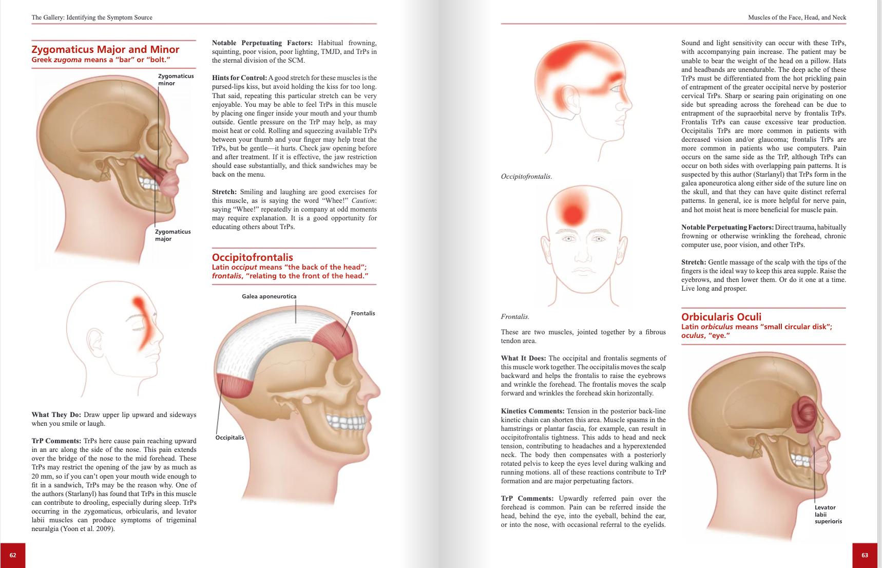 Healing through Trigger Point Therapy