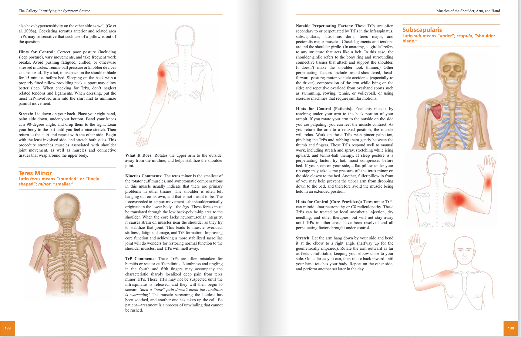 Healing through Trigger Point Therapy