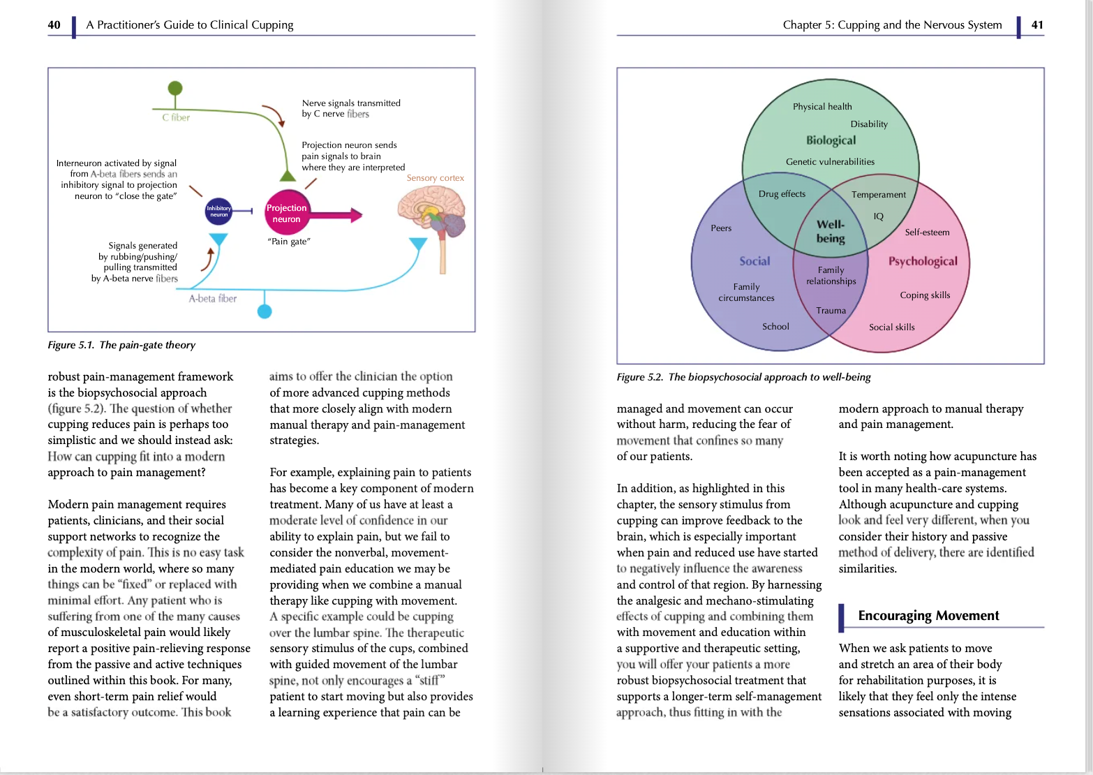 A Practitioner's Guide to Clinical Cupping