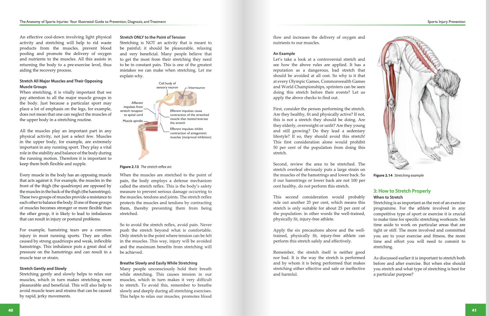 The Anatomy of Sports Injuries