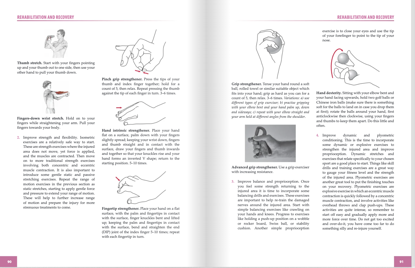 The Anatomy of Sports Injuries