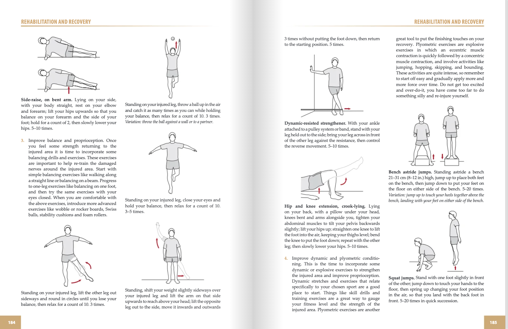 The Anatomy of Sports Injuries