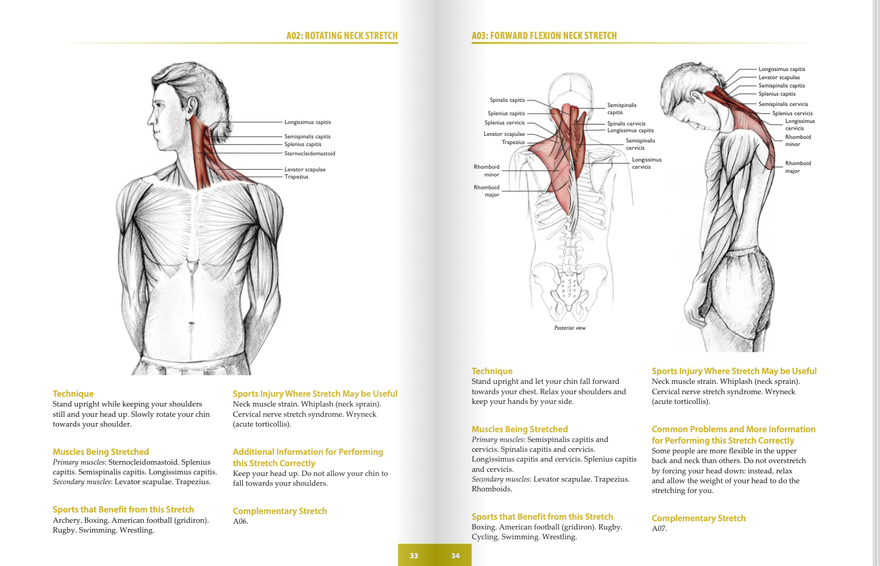 The Anatomy of Stretching