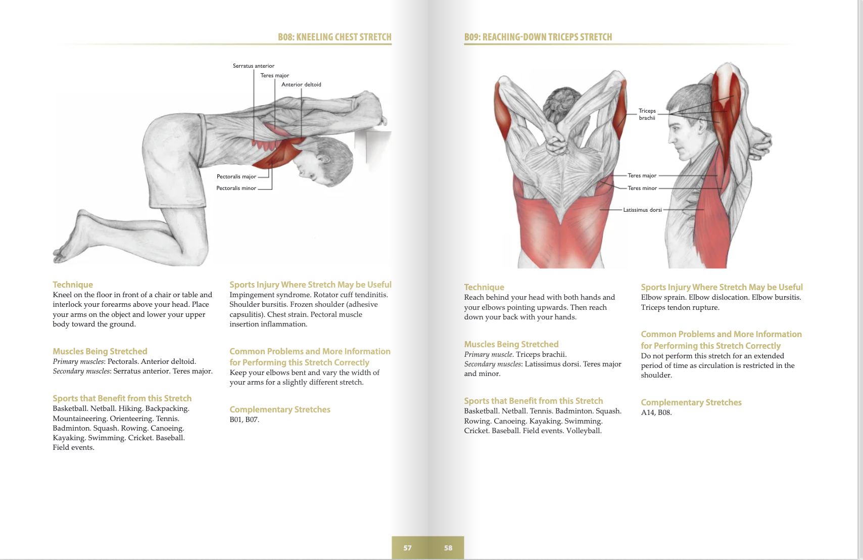 The Anatomy of Stretching