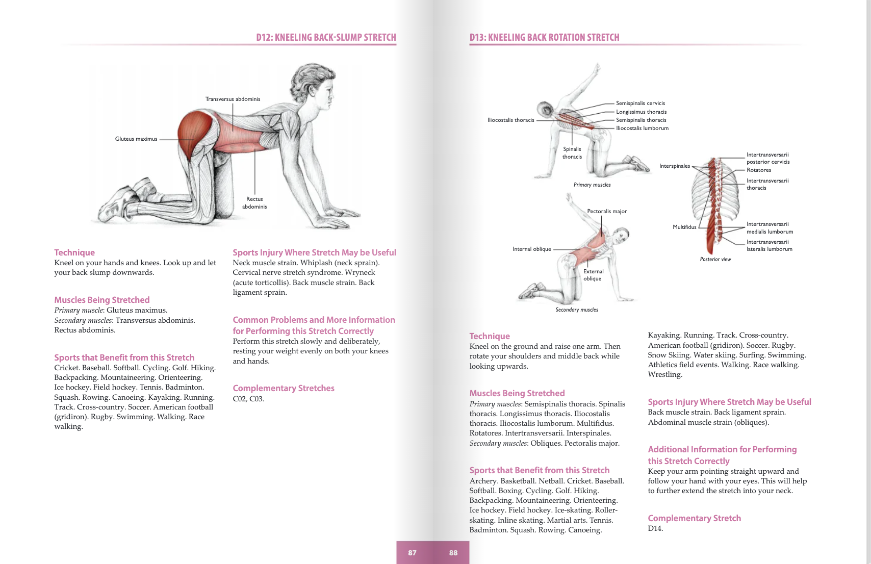 The Anatomy of Stretching