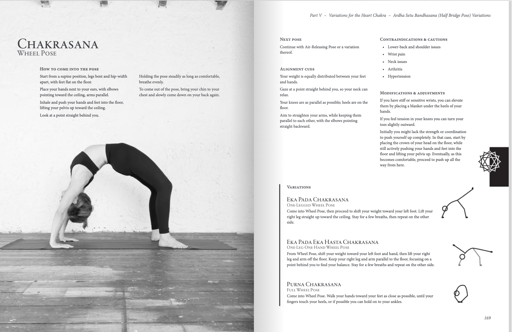 Hatha Yoga for Teachers and Practitioners