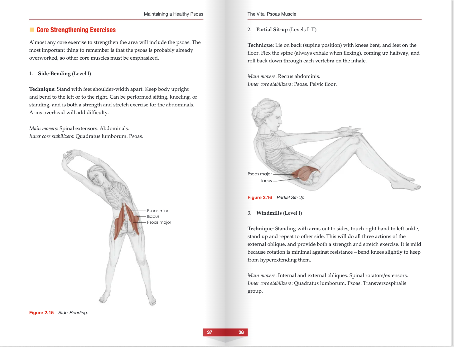 The Vital Psoas Muscle