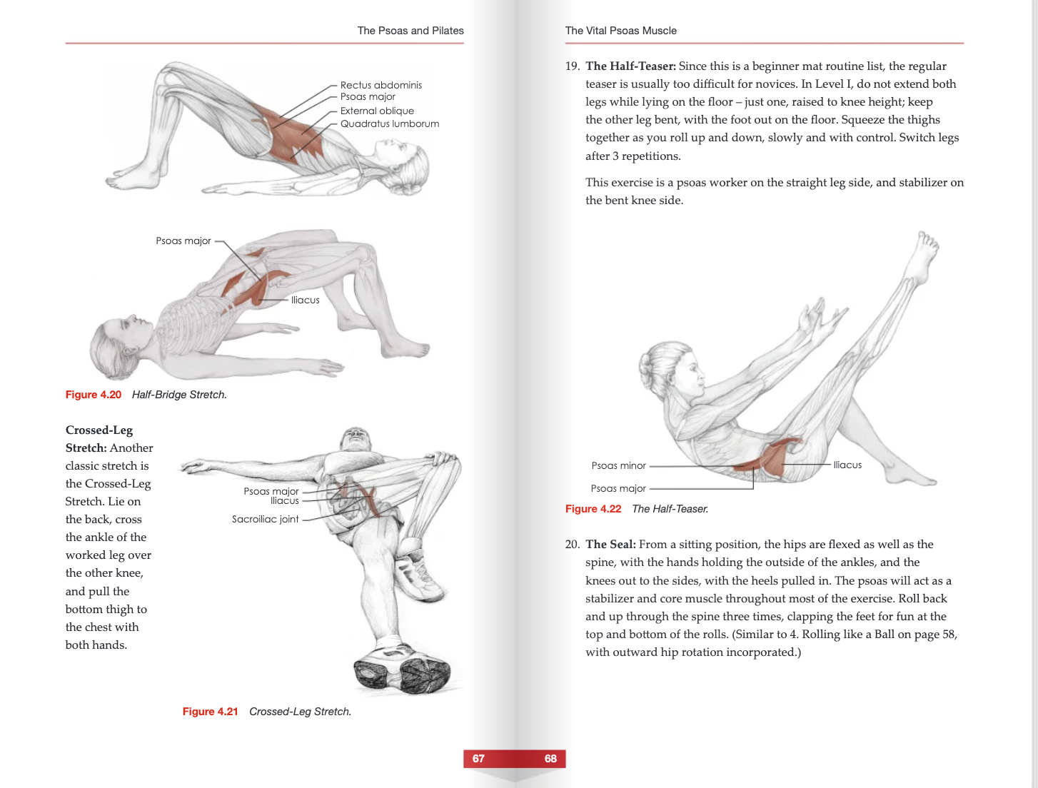 The Vital Psoas Muscle