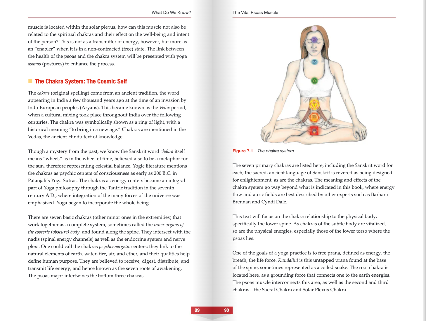 The Vital Psoas Muscle