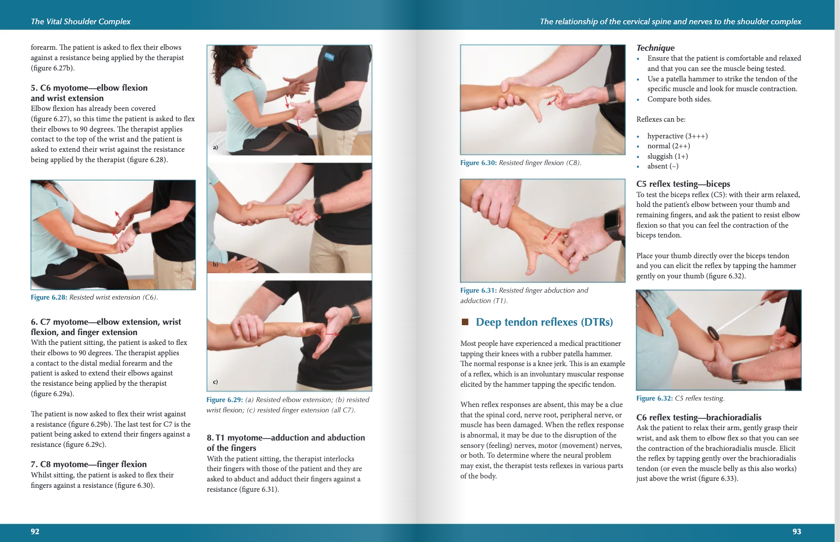 The Vital Shoulder Complex