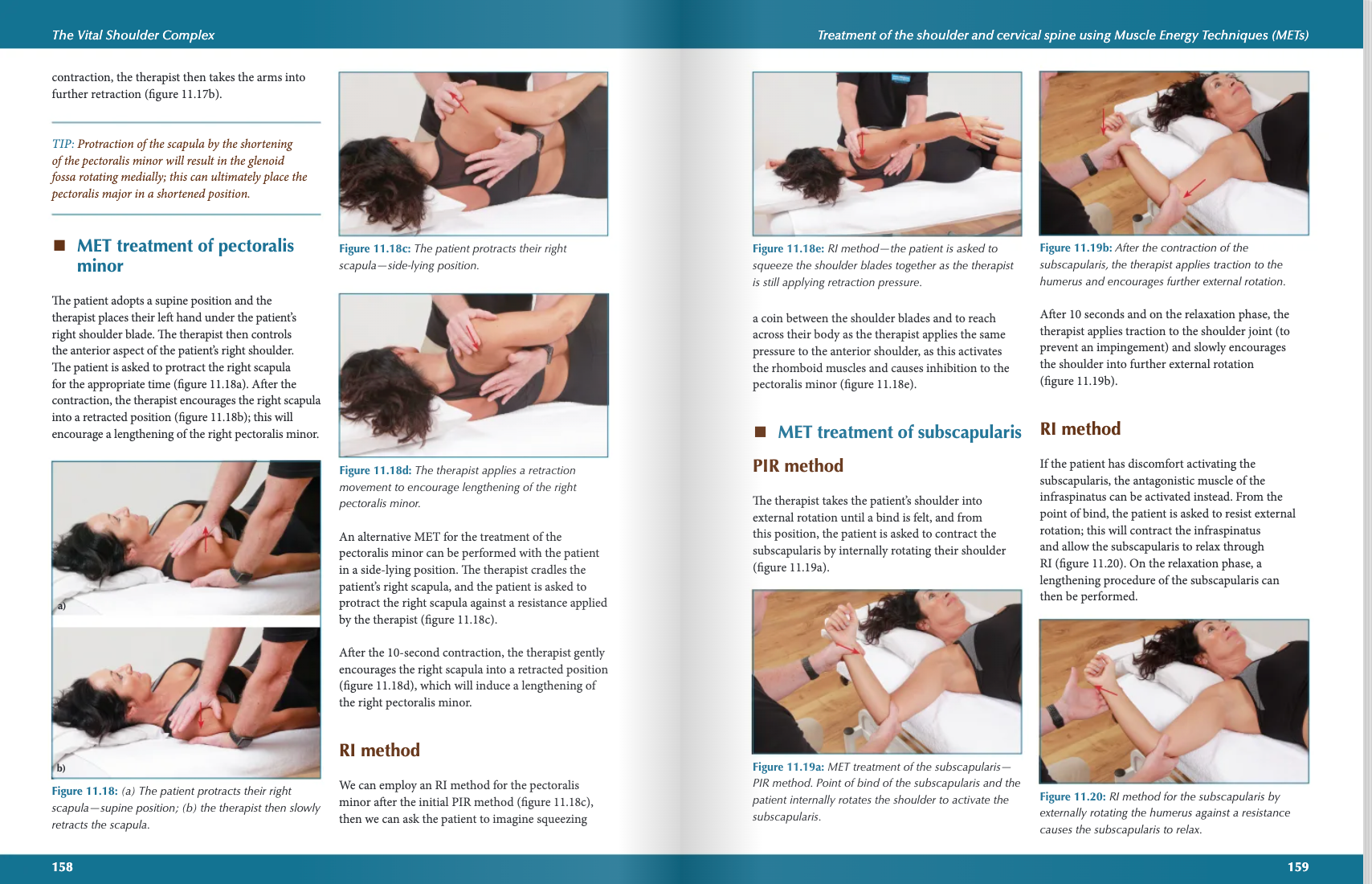 The Vital Shoulder Complex