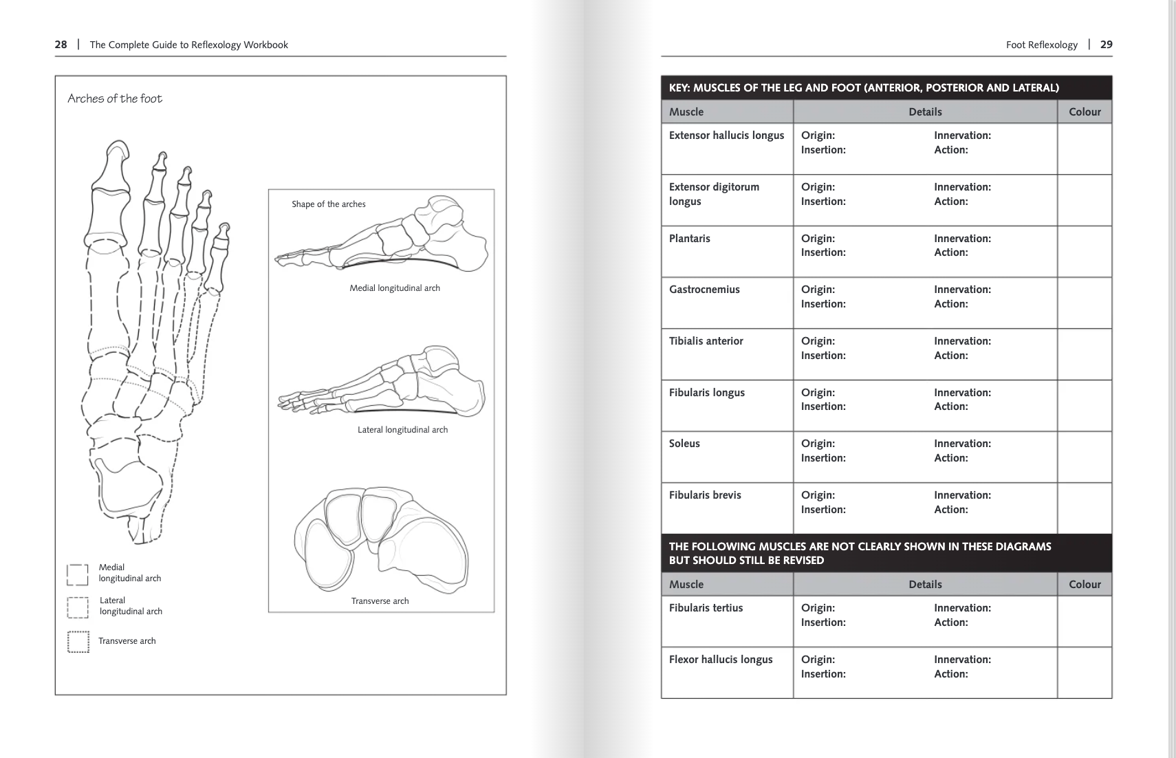 The Complete Guide to Reflexology Workbook