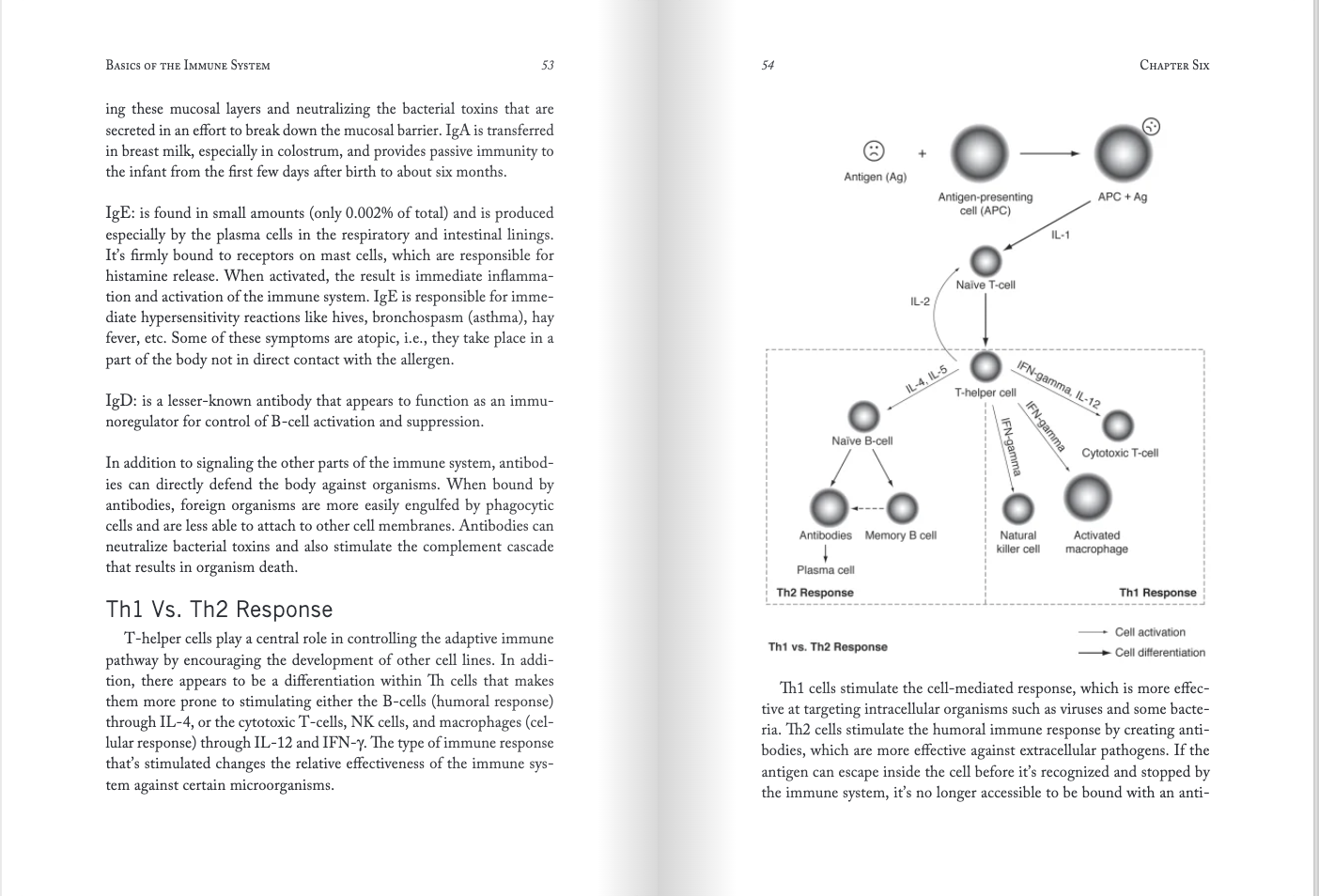 Changing the Course of Autism