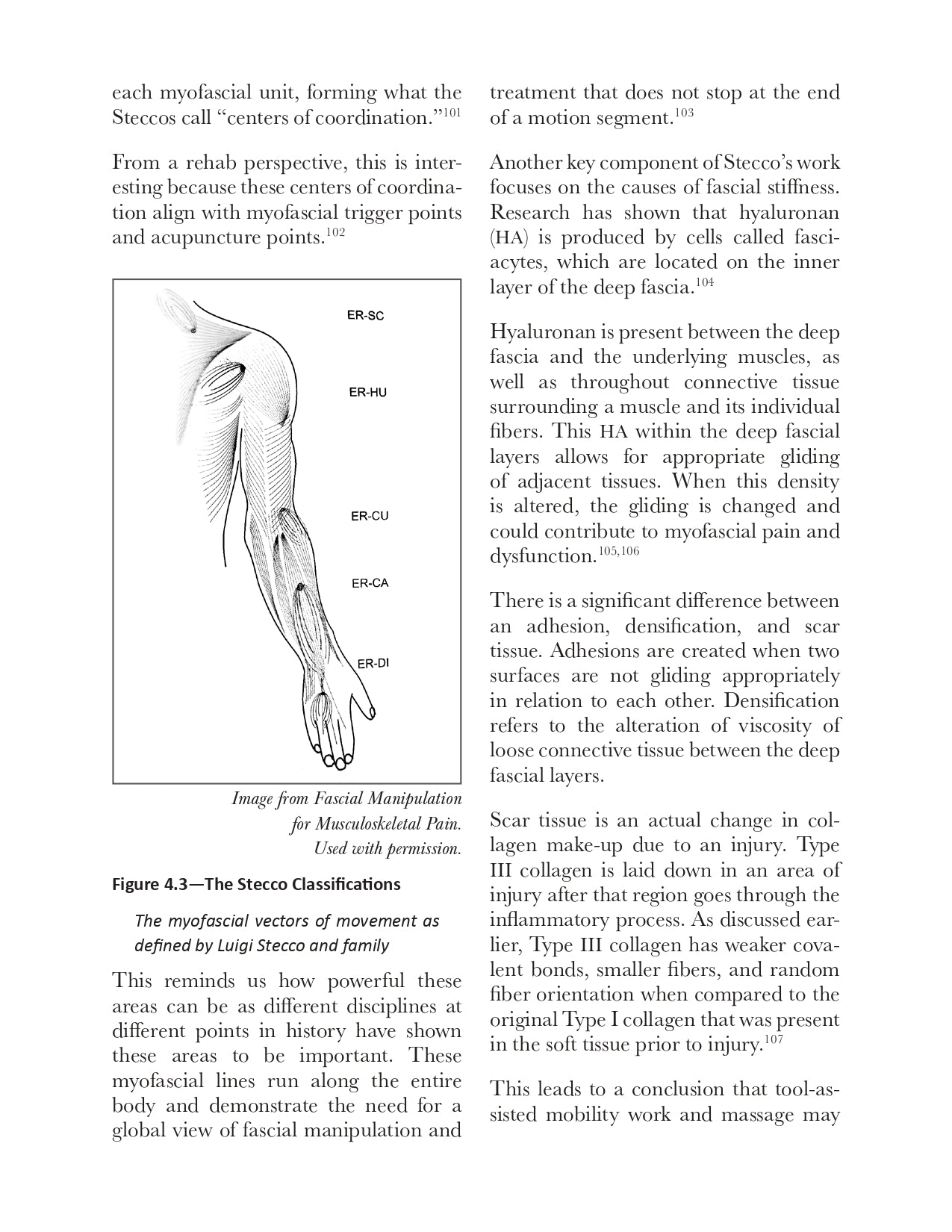 Bridging the Gap from Rehab to Performance