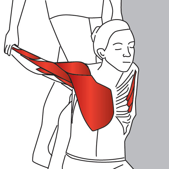 Seated Partner Assisted Chest Stretch - Niel Asher Education