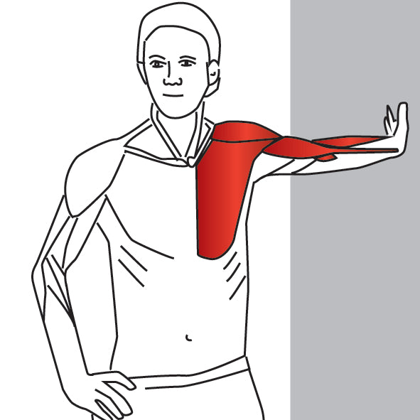 Parallel Arm Chest Stretch - Niel Asher Education