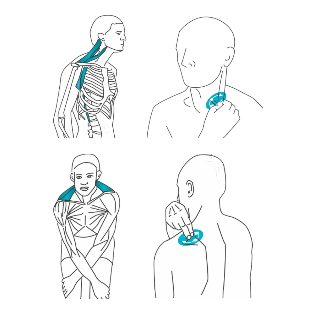 Treating Neck Pain and Stiffness - Part 1 - Niel Asher Education
